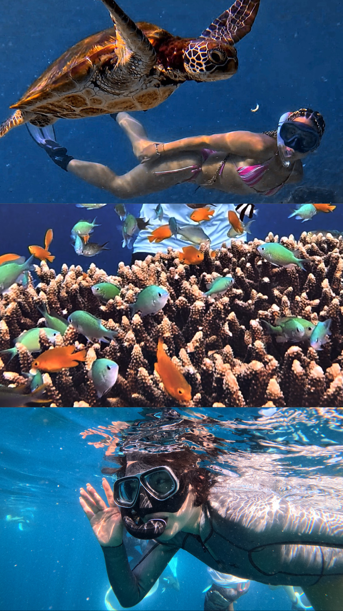 502d6bab 1dfb 4485 9e0a 516defb3a0d7